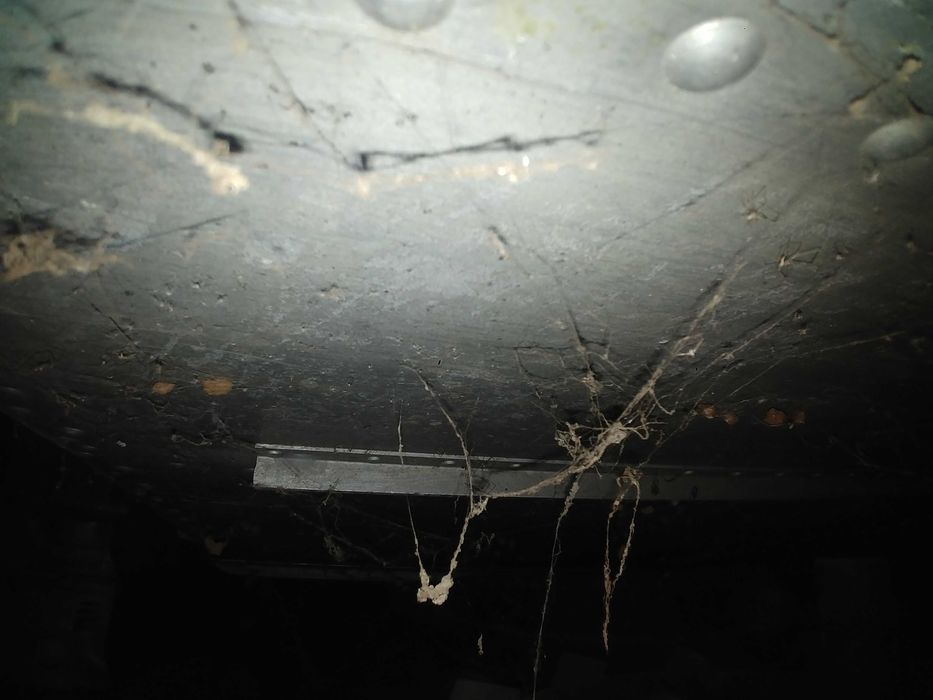 Моторний човен прогрес 4