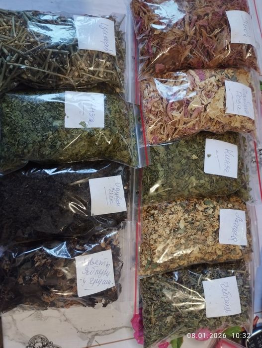 Цикорій троянда чебрець акація піон одуванчик