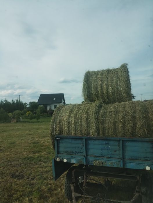 Siano okolo 15 balotow