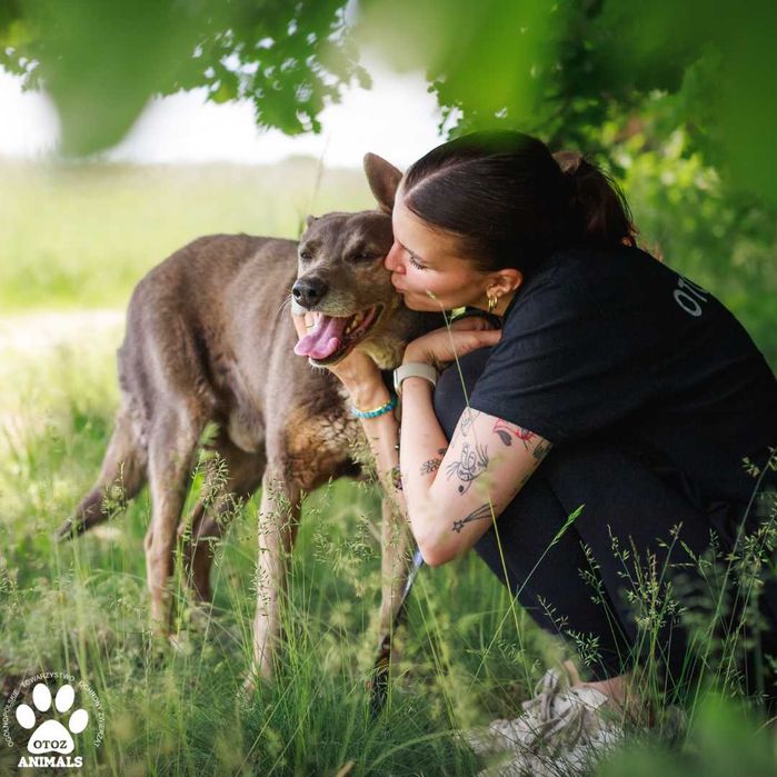 Cudowny Kumpel szuka domu!