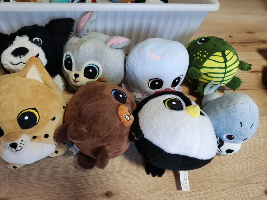 Pluszaki misie zabawki