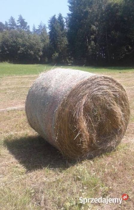 Siano i słoma w balach super cena!!