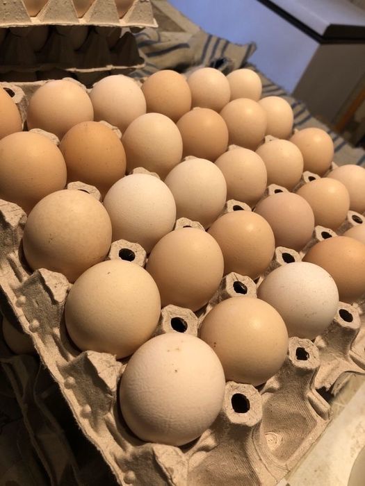 mleko jaja wedliny prosto od rolnika