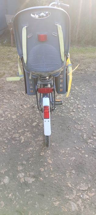 Rower Holenderski Sparta