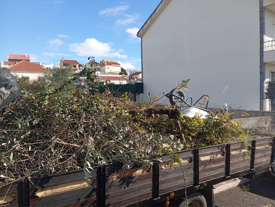 Desmatamento e Limpeza de terrenos