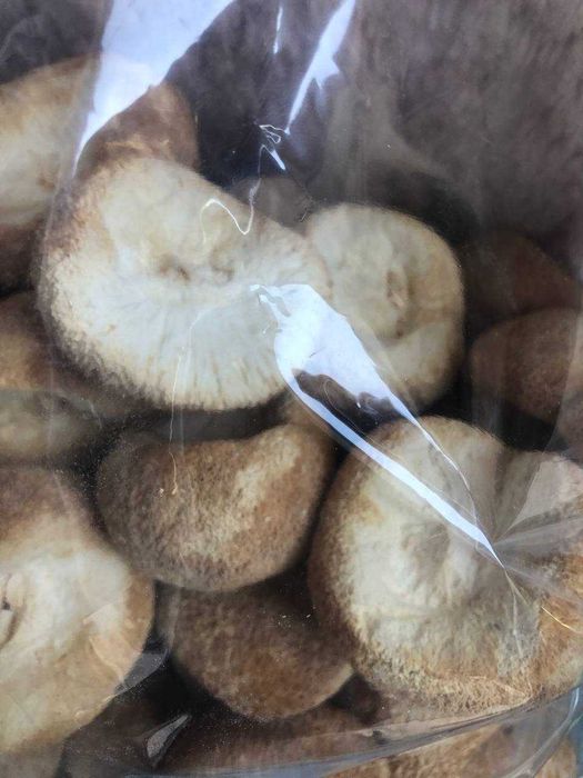 ЕЖОВИК   Їжовік Єжовік гребінчастий герициум іньші гриби