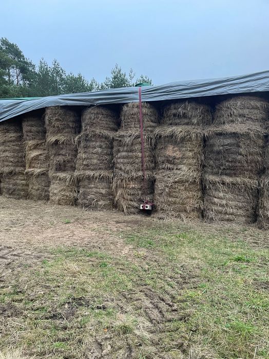 Siano na sprzedaż suche w belach Grajewo • OLX.pl