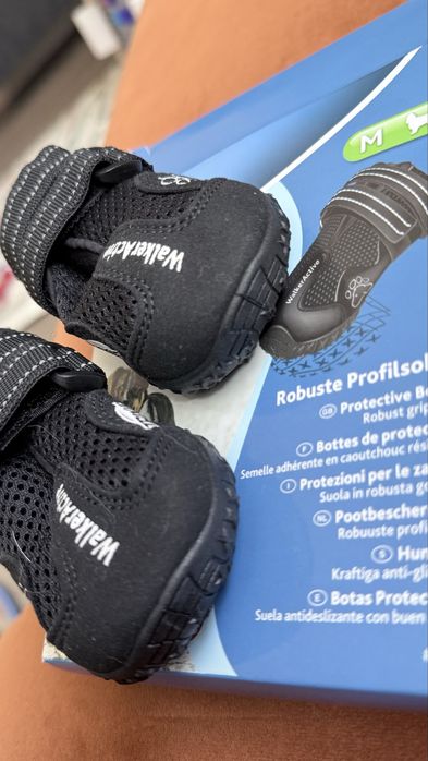 Взуття для собак