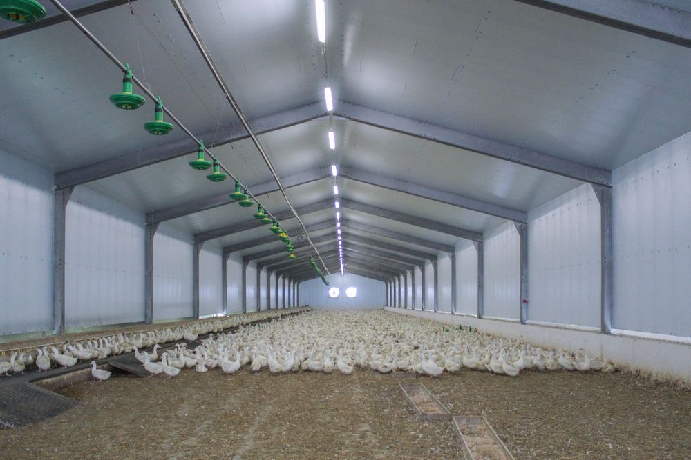 Płyty Izolacyjne Ociepleniowe Styrodur XPS AGRO Podbitka Podsufitka
