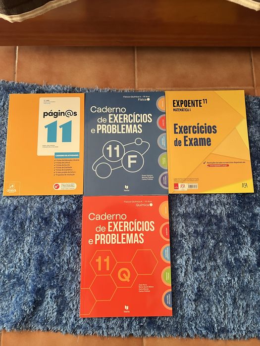 Livros de fichas 11 ano