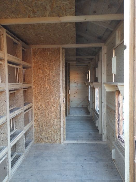 gołębnik 5m x 2m gołębie pocztowe ozdobne białe