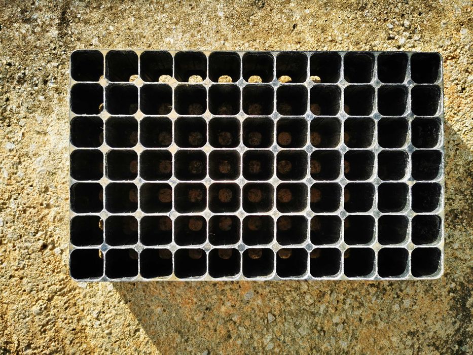 Tabuleiros de sementeira