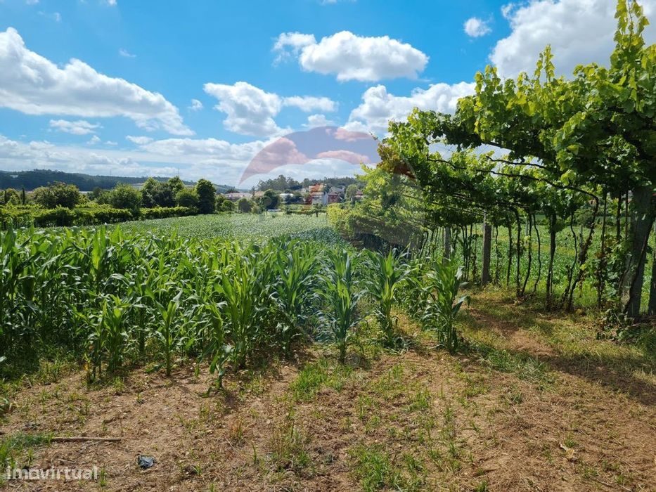 Terreno  para venda — Bougado (São Martinho E Santiago), Porto