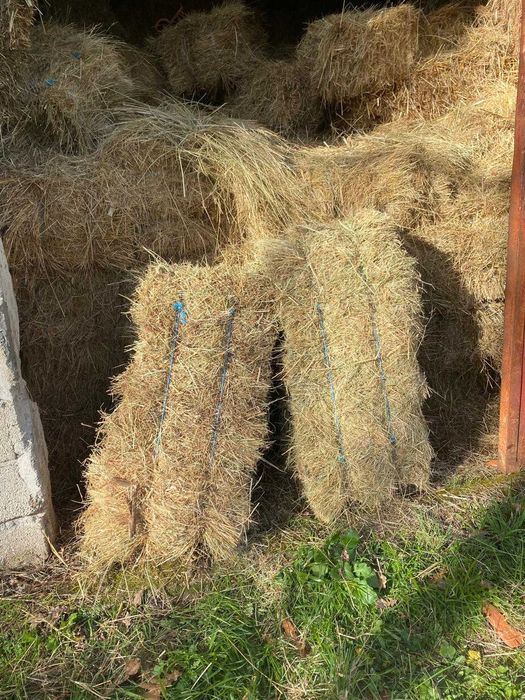 Fardos de Feno Médios