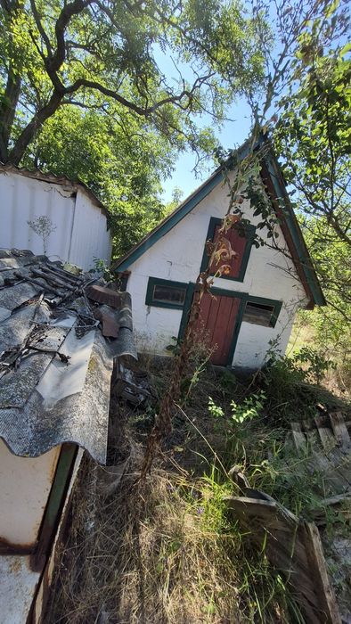 Будинок з джерельною водою на березі річки, асфальтована дорога