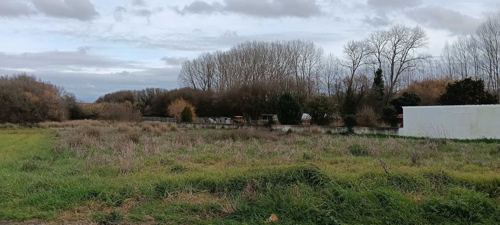 Excelente Terreno Construção Moradias - Ílhavo