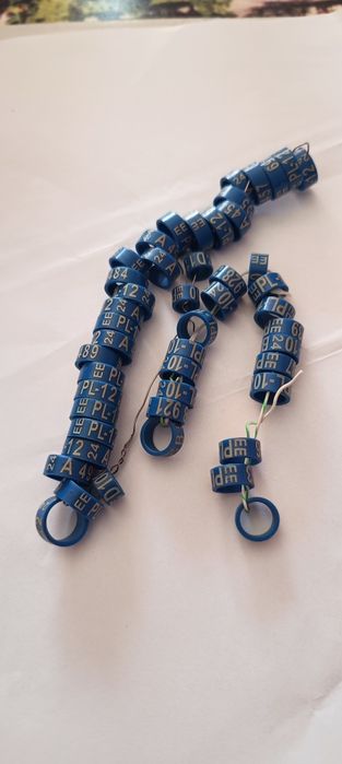 Obraczki EE na gołębie ozdobne EE fi.12 na2024r.