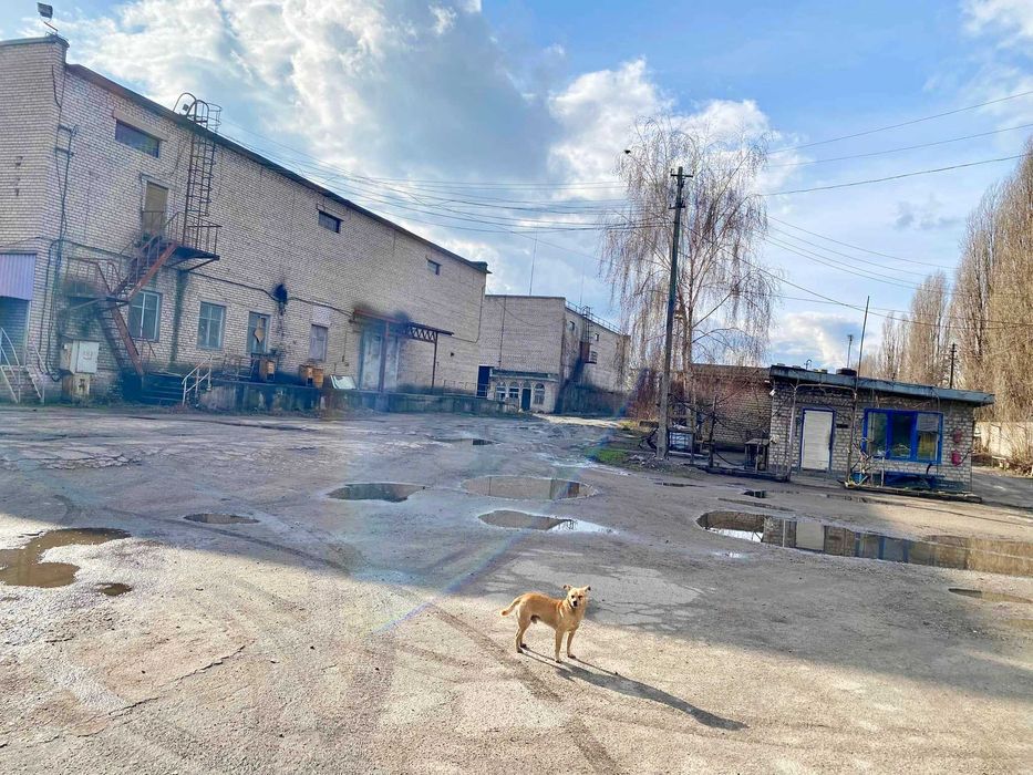 Аренда Складских Производственных Помещений Днепрострой