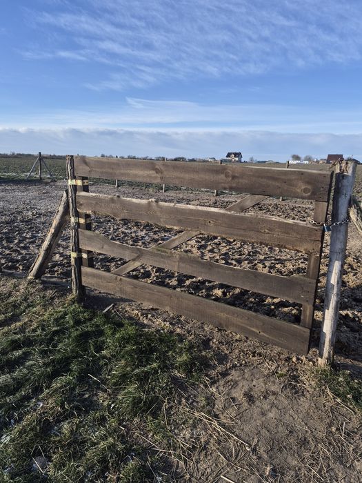 Brama +furtka do ogrodzeń pastwiskowych