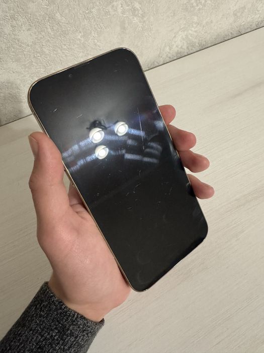 Iphone 13 Pro Max 256 Gb