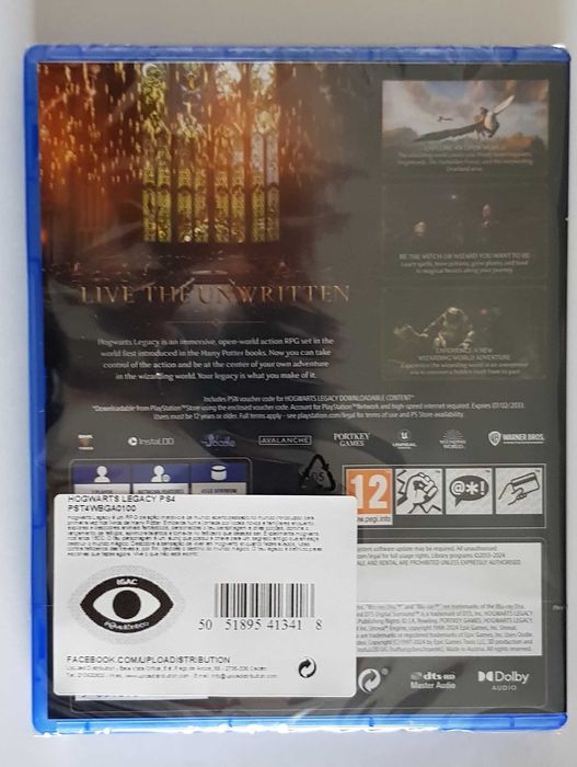 Hogwarts  - Jogo PS4 (novo)