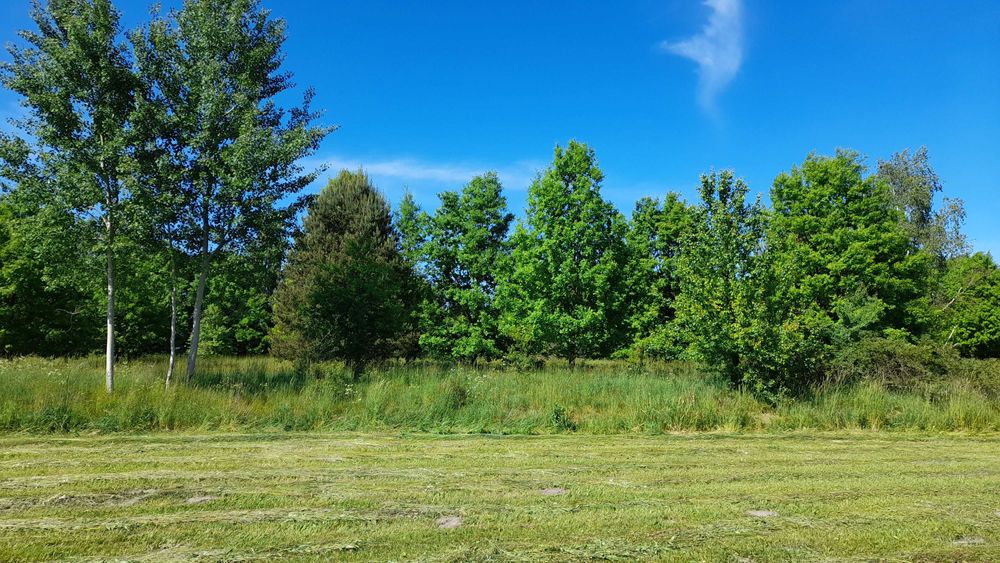 2500m2 BUDOWLANA, piękne miejsce, LASY, 69km od centr. Wwy