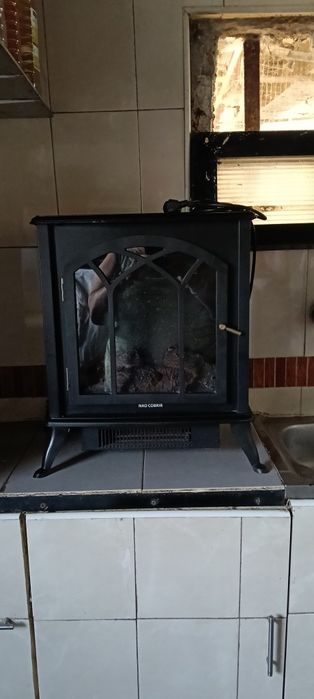 Salamandra eléctrica