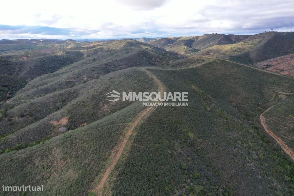 Terreno Rústico  Venda em Santana da Serra,Ourique — Santana da Serra, Beja