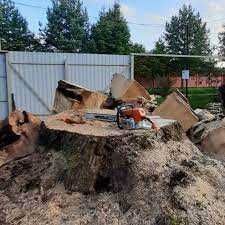 Професійне зрізання та валка дерев