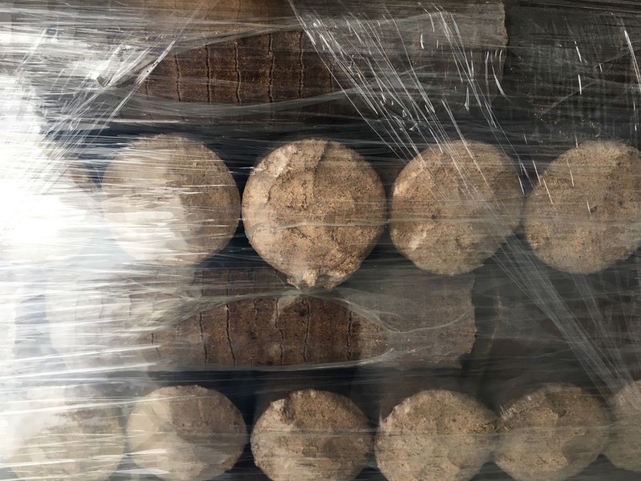 Brykiet z twardego drewna