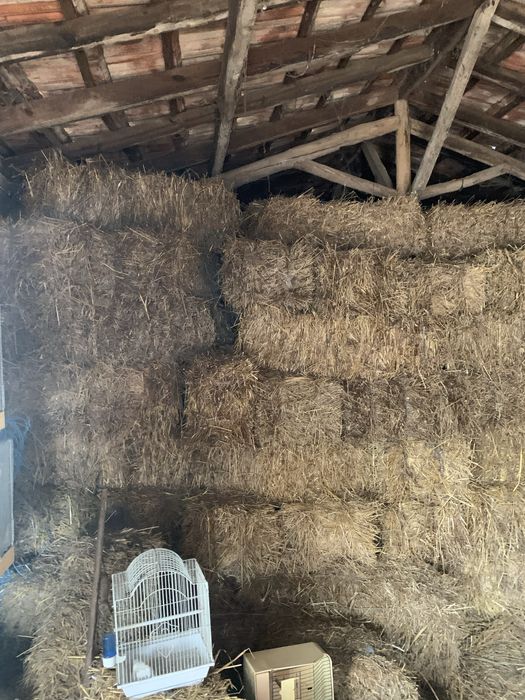 Fardos de feno pequenos excelentes