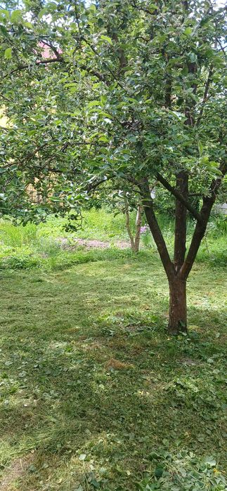 Продаж будинку в м. ГОРОДОК. Неподалік від центру.