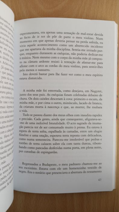 Paolo Maurensig, O Violinista