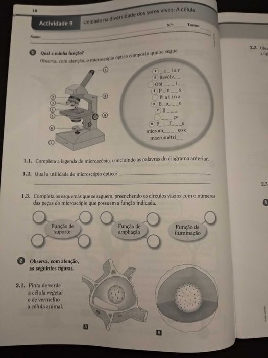 CSI / Ciências sob Investigação - Ciências 5.º ano