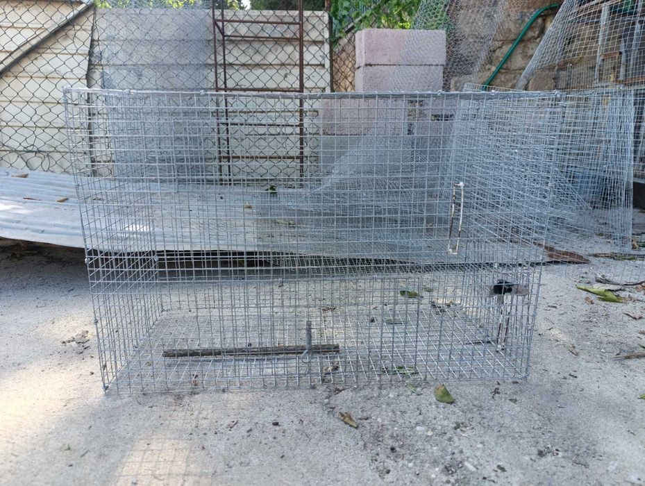Gaiolas para aves