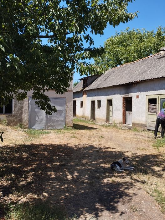 Продам дом Закарпатье Вари