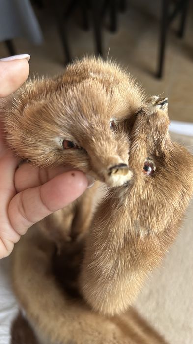 Estolas vintage em pele de Marta/Vison-par raro e autentico