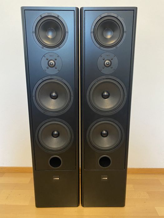 Акустика колонки Canton Fonum 701