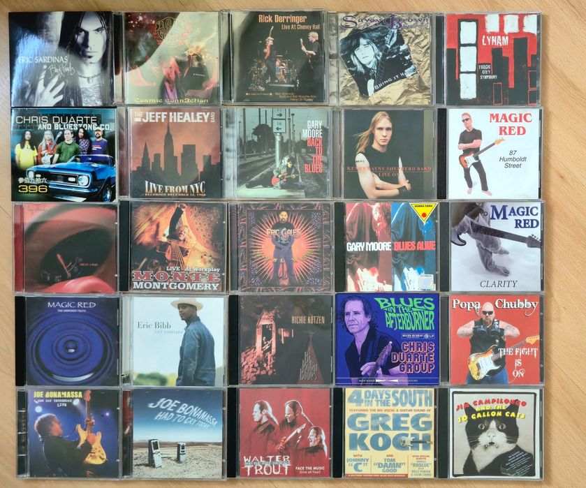 Blues na CD - 45 płyt Bonamassa, Gales, Duarte, Derringer i inni