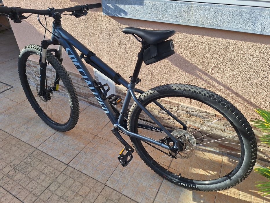 Specialized rockhopper 29