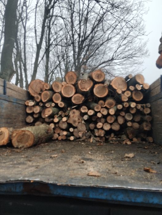 Продам дрова твёрдых/мешаных пород