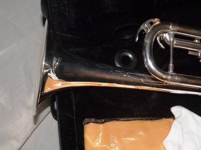 Trompete prateado novo