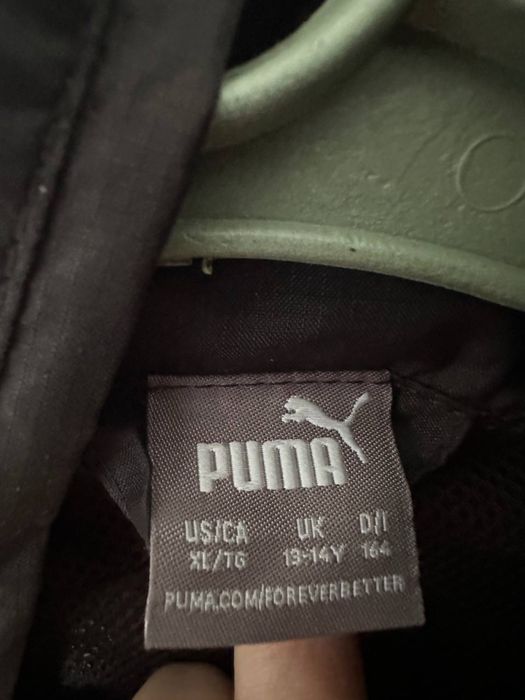 Вітровка Puma.