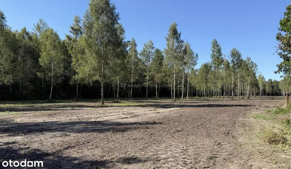 Działka na sprzedaż, Nowe Chrusty1 - Widok 2