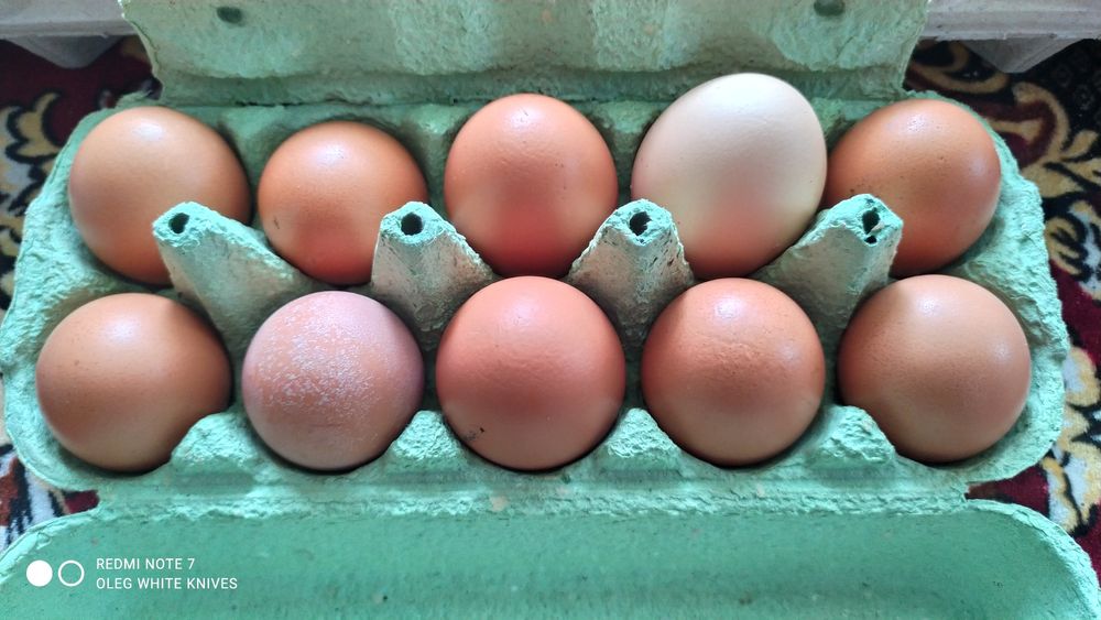 Яйця Домашні, курині !