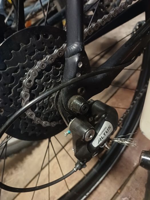 Rower Specialized