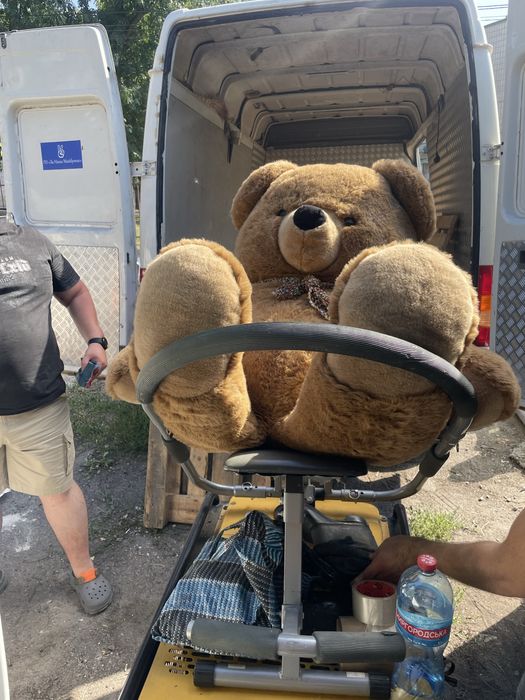 Дитяча мʼяка іграшка ведмедик