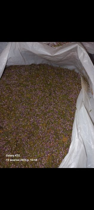 Чай з Вересом...