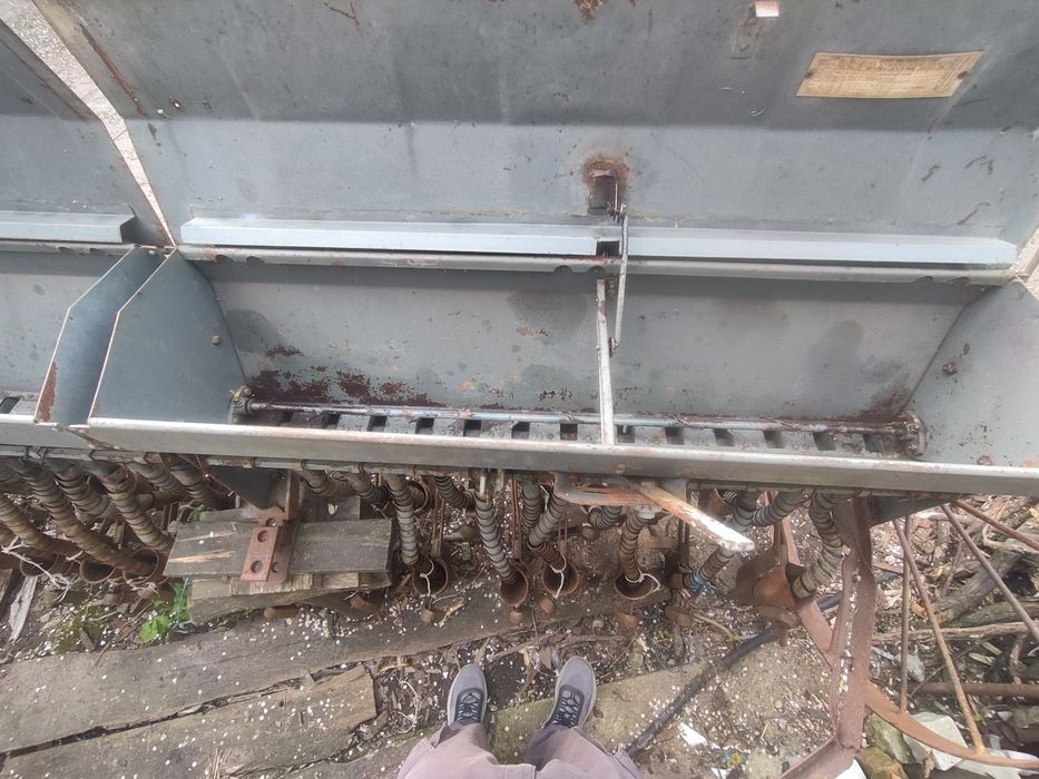 Сівалка польська