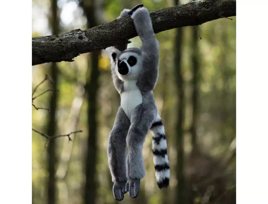 Pluszowy Lemur Na Rzepy. Nowy Produkt